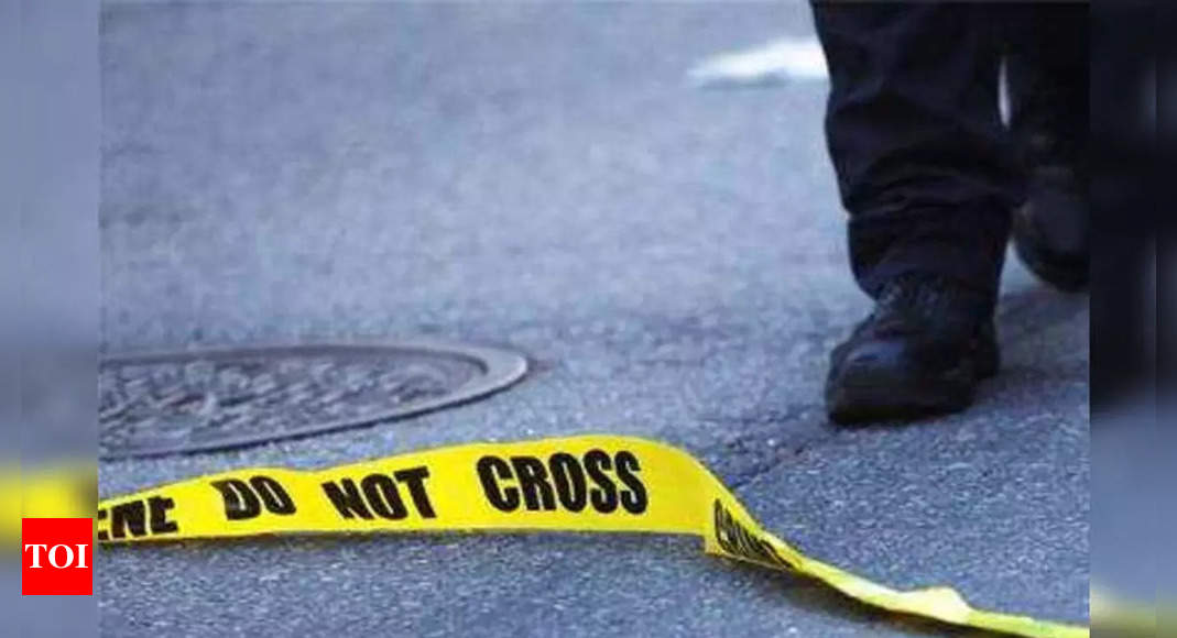 southern california: 1 killed, 8 wounded in shooting at Southern California party - Times of India