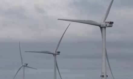 New Connections Triple, 2021 Best Year for Offshore Wind Industry