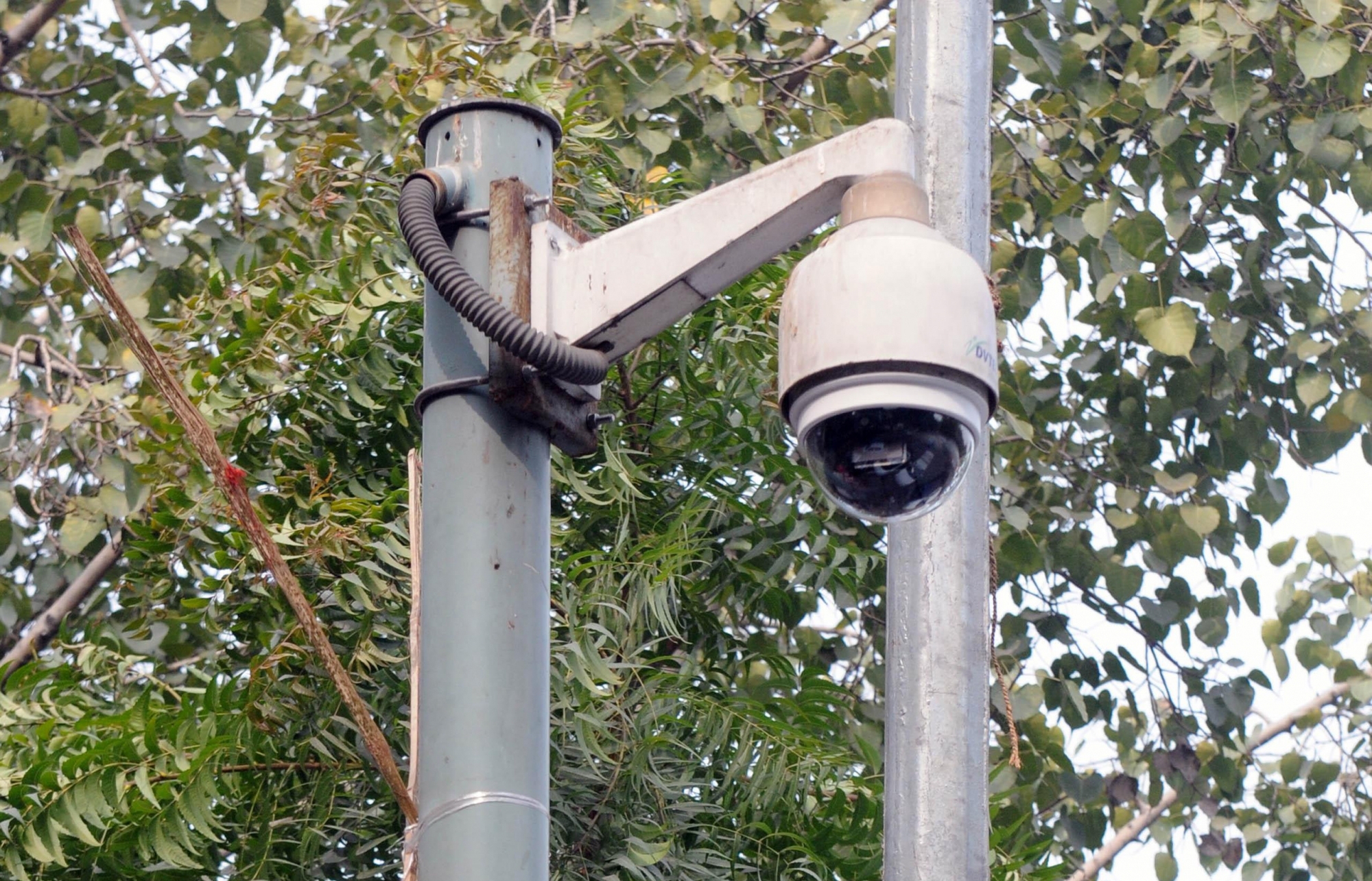 One CCTV camera helped trace driver in Delhi BMW hit-and-run case - Bhaskar Live English News
