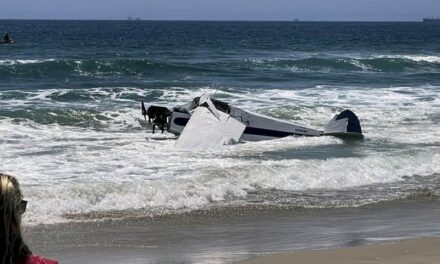 Plane crashes near lifeguard competition | Pilot rescued