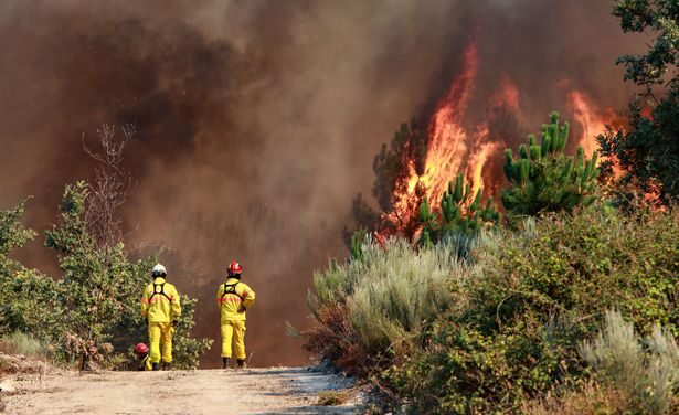 Portugal issues deadly wildfire warning as fierce temperatures bake the country