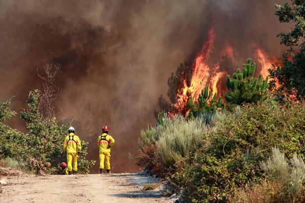 Portugal issues deadly wildfire warning as ferocious temperatures bake country