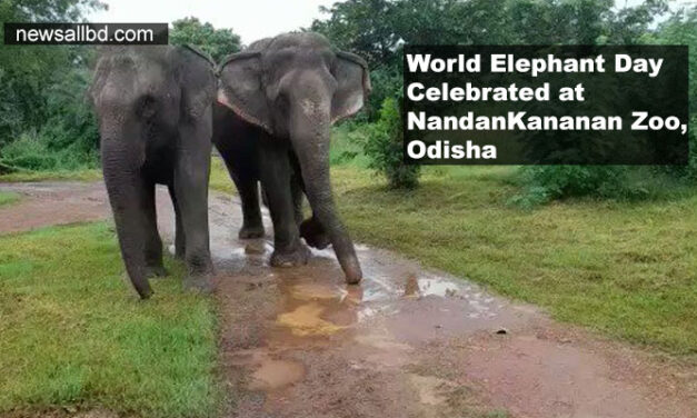 World Elephant Day Celebrated at NandanKananan Zoo, Odisha