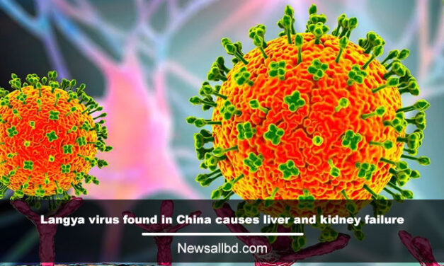 Zoonotic Langya virus found in China causes liver and kidney failure