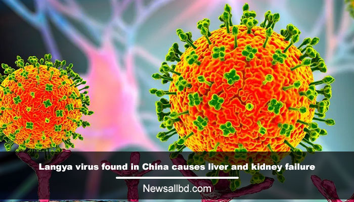 Langya virus found in China